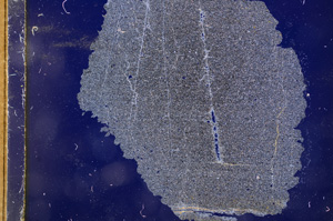Cross Polarized, E3157