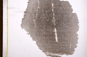 Plane Polarized, E3157