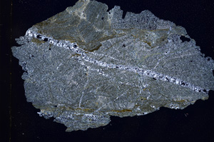 Cross Polarized, E3174