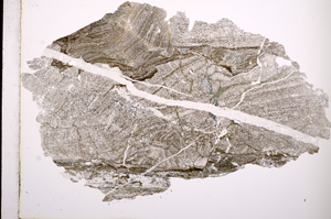 Plane Polarized, E3174