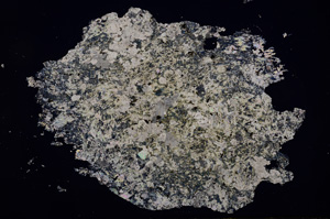 Cross Polarized, E3179