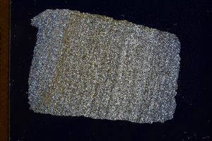 Cross Polarized, E3188