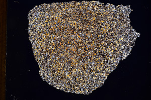 Cross Polarized, E3194