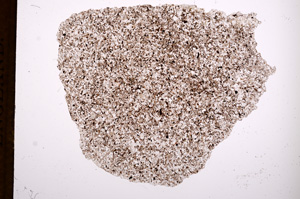 Plane Polarized, E3194