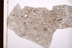 Plane Polarized, E3197