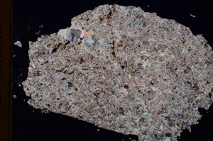 Cross Polarized, E3199