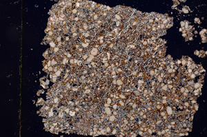 Cross Polarized, E3202