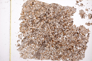 Plane Polarized, E3202