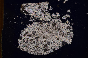 Cross Polarized, E3204