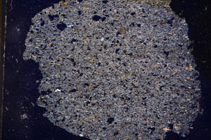 Cross Polarized, E3228