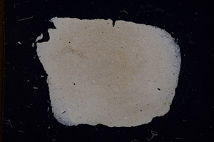 Cross Polarized, E3234