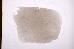 Plane Polarized, E3234