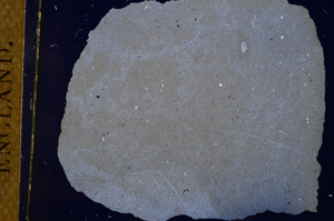 Cross Polarized, E3258