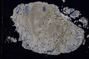 Cross Polarized, E3261