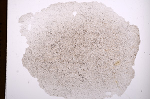 Plane Polarized, E3262