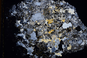 Cross Polarized, E3263