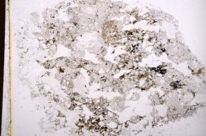Plane Polarized, E3263