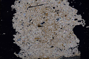 Cross Polarized, E3265