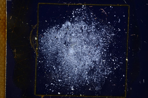 Cross Polarized, E3269