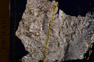 Cross Polarized, E3281