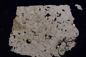 Cross Polarized, E3283