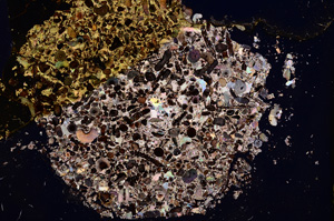 Cross Polarized, E3284