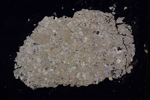 Cross Polarized, E3285