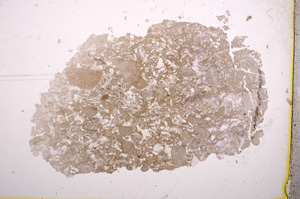 Plane Polarized, E3285