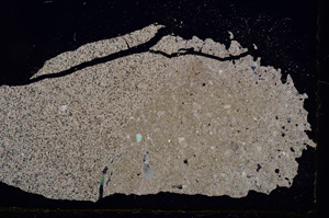 Cross Polarized, E3286