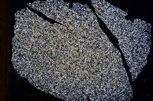Cross Polarized, E3295