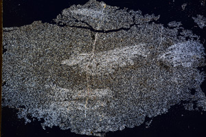 Cross Polarized, E3308