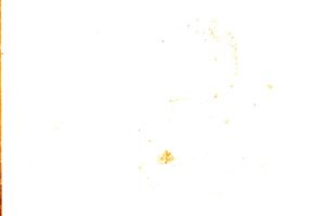 Plane Polarized, E3309