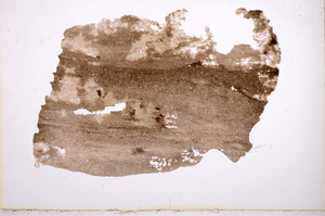 Plane Polarized, E3311