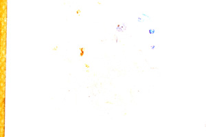 Plane Polarized, E3313