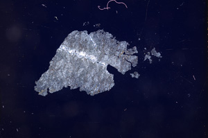 Cross Polarized, E3316