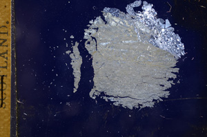 Cross Polarized, E3317