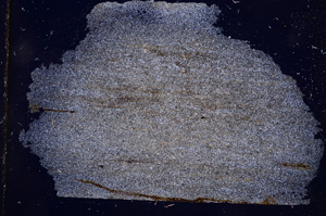 Cross Polarized, E3343