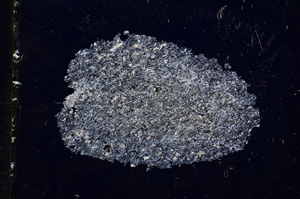 Cross Polarized, E3347