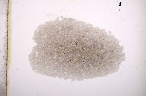 Plane Polarized, E3347