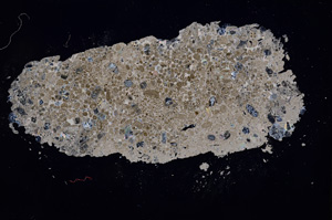 Cross Polarized, E3349