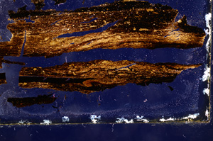 Cross Polarized, E3353