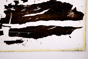 Plane Polarized, E3353