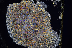 Cross Polarized, E3354