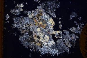 Cross Polarized, E3371