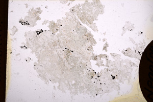 Plane Polarized, E3371