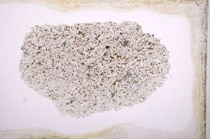 Plane Polarized, E3372