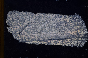Cross Polarized, E3382