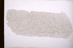 Plane Polarized, E3382