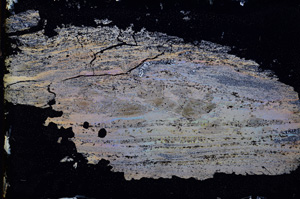 Cross Polarized, E3384