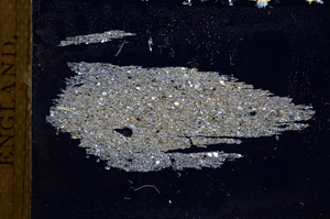Cross Polarized, E3388